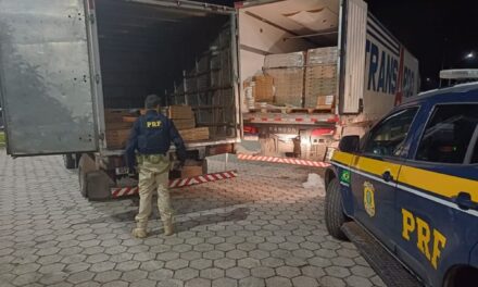 PRF age rápido e impede furto de carga de laticínios na BR-381; caminhão usado no crime era clonado