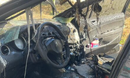 Incêndio em carro mobiliza bombeiros em Divinópolis
