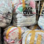 Mais de duas toneladas de drogas são incineradas pela Polícia Civil em MG