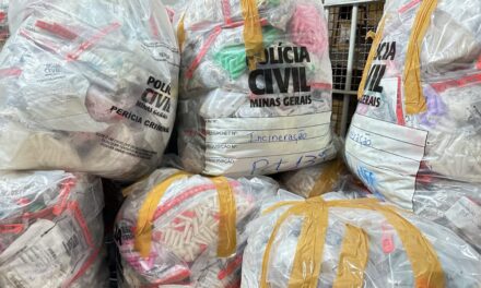 Mais de duas toneladas de drogas são incineradas pela Polícia Civil em MG