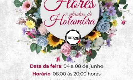 Instituto Tatame do Bem realizará a 5ª Feira de Holambra em Formiga