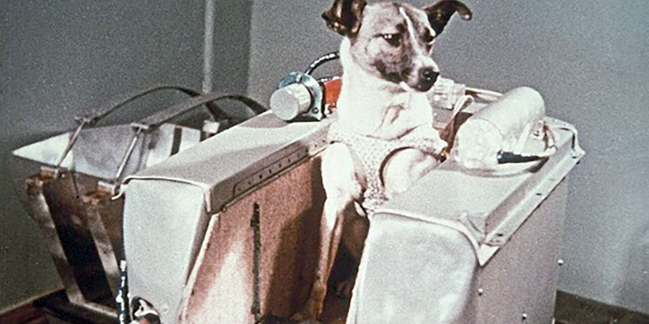 E por falar em eletrônica… 2025, 67 anos desde que Laika foi lançada ao espaço