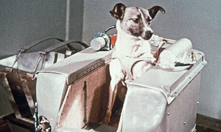 E por falar em eletrônica… 2025, 67 anos desde que Laika foi lançada ao espaço