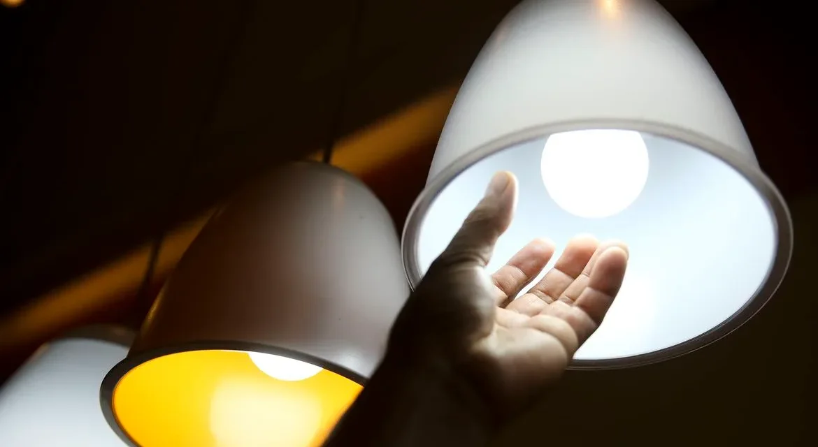 “Jabutis”: Governo refaz contas e vê custo de meio trilhão na conta de luz