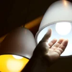 “Jabutis”: Governo refaz contas e vê custo de meio trilhão na conta de luz