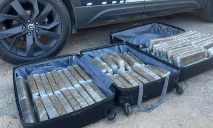 Malas lotadas de barras de maconha são apreendidas em ônibus de viagem na BR-116, em Minas