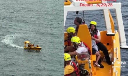 Pai pula de navio da Disney para resgatar filha que caiu no mar
