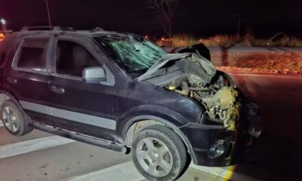 Homem morre atropelado na BR-262, próximo a Torneiros, em Pará de Minas
