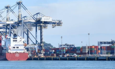 Receita apreende 1,5 tonelada de cocaína no Porto de Santos, a maior em 4 anos