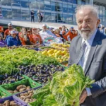 Lula lança Plano Safra da agricultura familiar para incentivar produção de alimentos; entenda