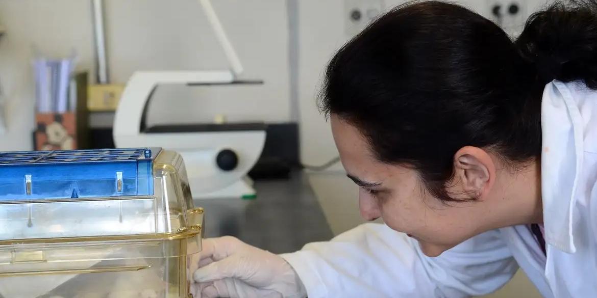 Tecidos feitos em laboratório podem aperfeiçoar testes de medicamentos