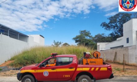 Bombeiros iniciam Fase 2 da Operação Alerta Verde em Formiga