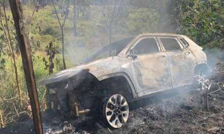 Incêndio em vegetação às margens da BR-354 é causado por capotamento de veículo em Arcos