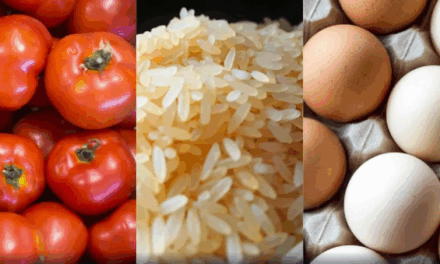 Alívio no bolso: tomate, arroz e ovo freiam inflação de alimentos em maio