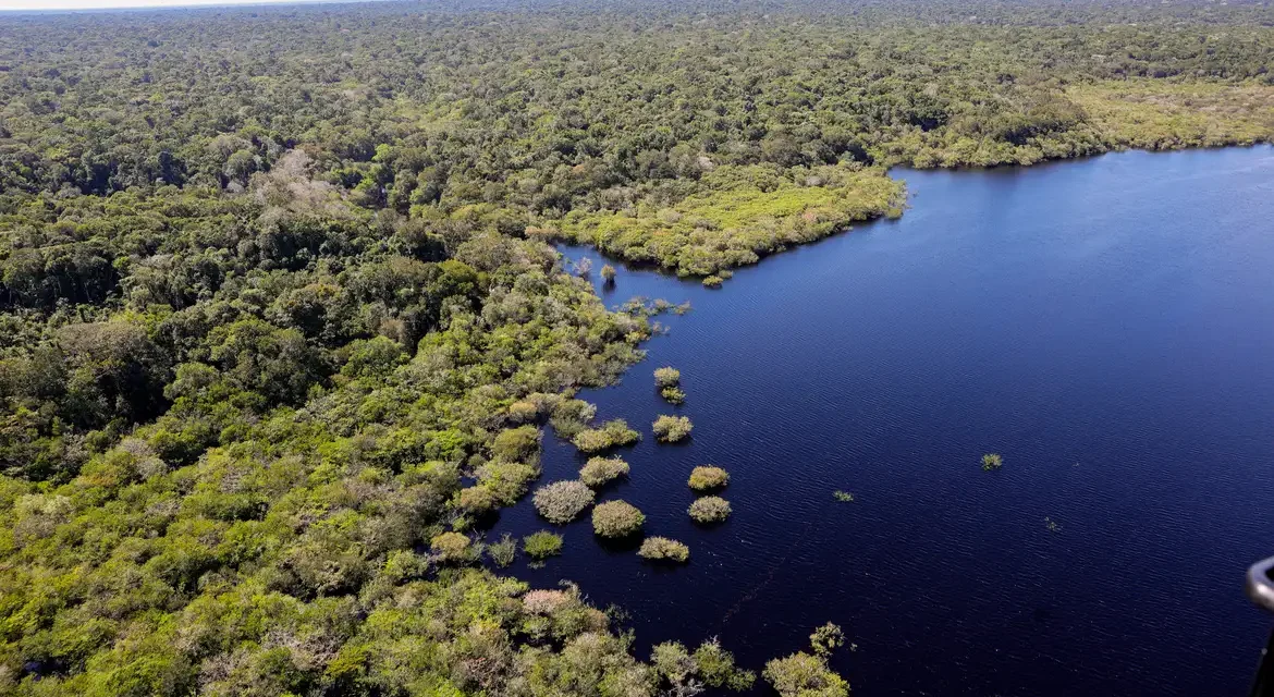 Fundo Amazônia bate recorde ao destinar mais de R$ 1 bilhão em 2025