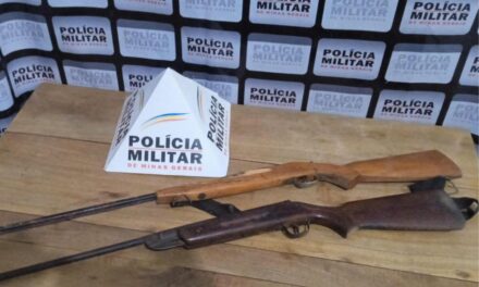 Polícia Militar apreende armas, em Bambuí