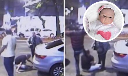 Família de bebê agredida após ser confundida com ‘reborn’ vai processar agressor