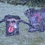 Temperatura de -6ºC congela camisetas e marca o dia mais frio do ano em SC