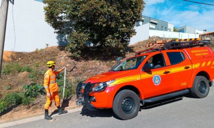 Bombeiros realizam vistorias em lotes vagos para promover a prevenção de incêndios, em Campo Belo
