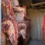 Polícia apreende quase 800 quilos de carne em abatedouro clandestino, em Pará de Minas