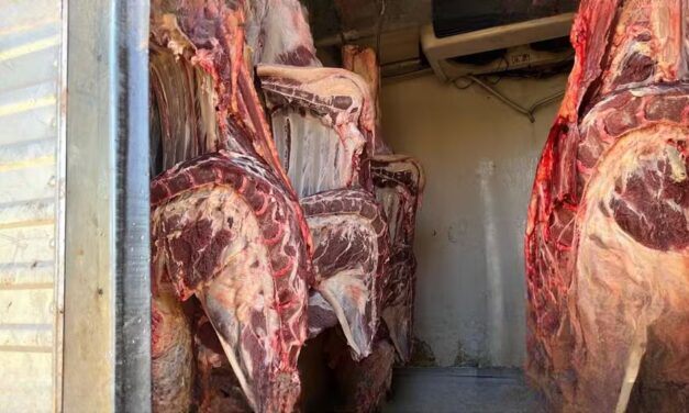 Polícia apreende quase 800 quilos de carne em abatedouro clandestino, em Pará de Minas