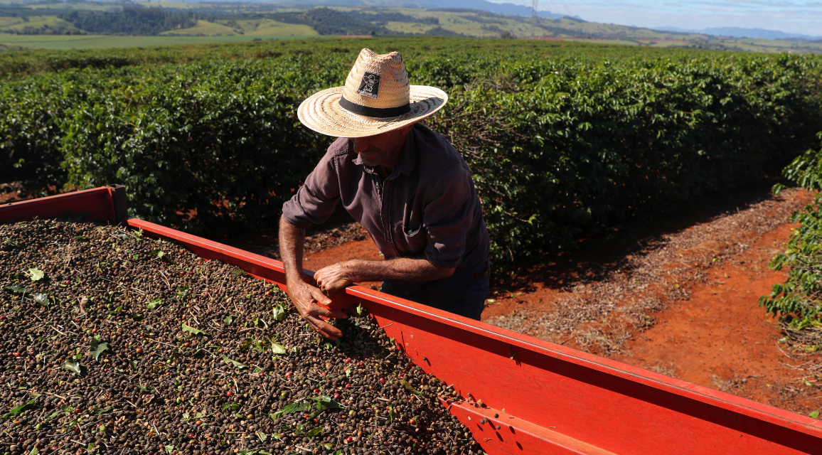 Governo confirma corte de quase metade do orçamento do seguro rural