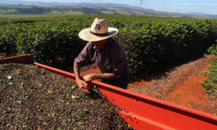 Governo confirma corte de quase metade do orçamento do seguro rural