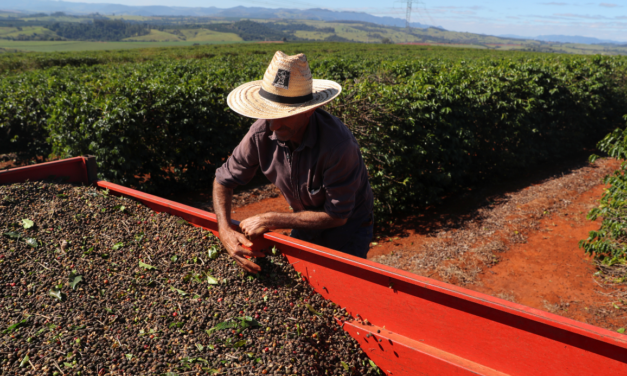 Governo confirma corte de quase metade do orçamento do seguro rural