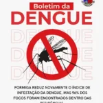 Formiga reduz o índice de infestação da dengue
