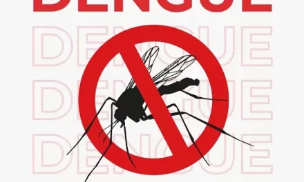 Formiga reduz o índice de infestação da dengue