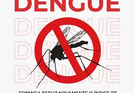 Formiga reduz o índice de infestação da dengue