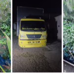 Dono de floricultura é preso após roubar R$ 300 mil em mudas de concorrente