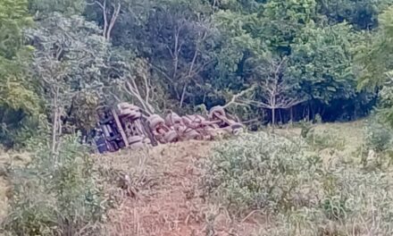 Grave colisão entre carretas mobiliza equipes de emergência na BR-354, em Formiga