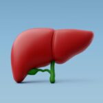 Veja as causas e como prevenir a gordura no fígado
