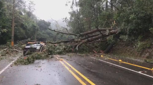 Defesa Civil confirma terceira morte por causa da chuva que atinge o RS; uma pessoa está desaparecida