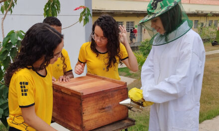 De brincadeira a sucesso: projeto do IFMG que monitora colmeias conquista prêmio nacional