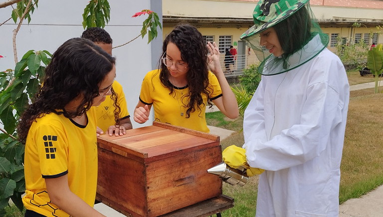 De brincadeira a sucesso: projeto do IFMG que monitora colmeias conquista prêmio nacional