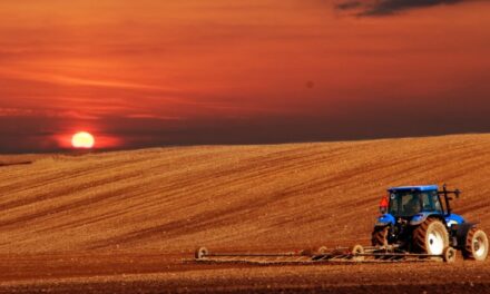 PESQUISA QUAEST–FAEMG: 80% DOS MINEIROS TÊM IMAGEM POSITIVA DO AGRO  