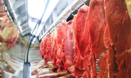 Carne pesa na cesta de Uberlândia  