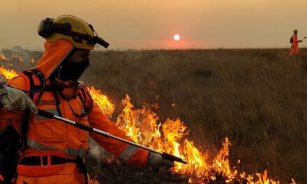 Previsão de inverno chuvoso traz alívio e alerta para produtores rurais  