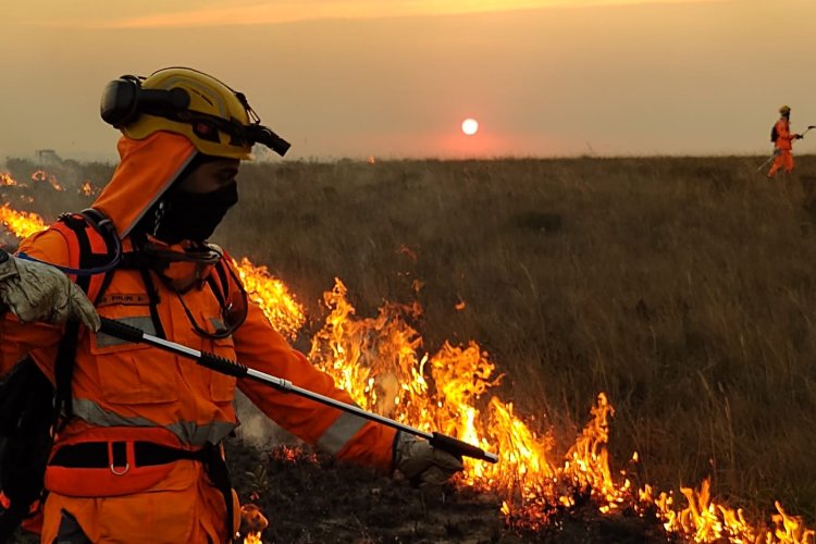 Previsão de inverno chuvoso traz alívio e alerta para produtores rurais  