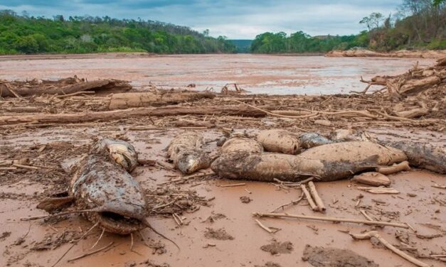 PIB de Valadares perdeu com desastre  