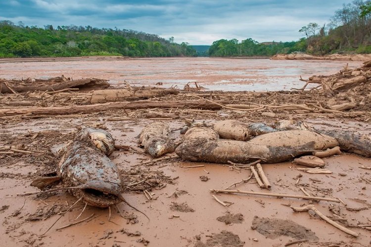 PIB de Valadares perdeu com desastre  