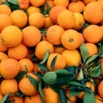 Crise das laranjas: sabor do suco pode desaparecer cada vez mais; entenda
