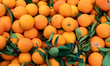 Crise das laranjas: sabor do suco pode desaparecer cada vez mais; entenda