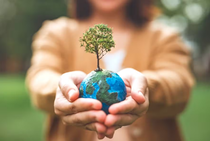 Dia Mundial do Meio Ambiente 2025 destaca luta contra poluição plástica
