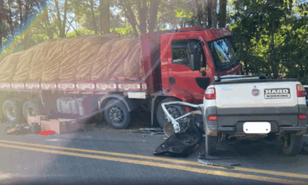 Colisão entre carro e caminhão deixa dois mortos na MG-455