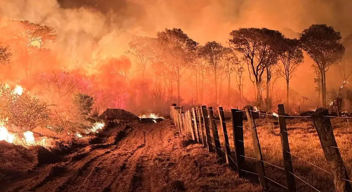 Ações da Operação Incêndios 2025 da PF iniciam pelo Pantanal