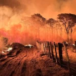 Ações da Operação Incêndios 2025 da PF iniciam pelo Pantanal