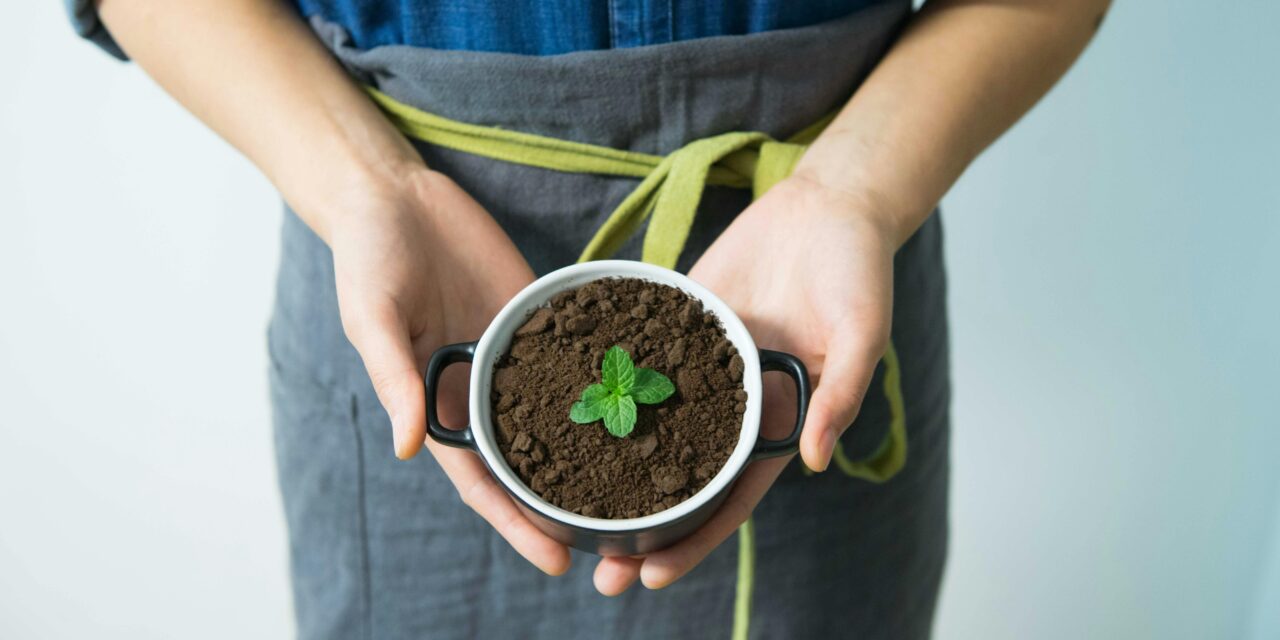 Tendências do Trabalho: Crescimento do Mercado Verde